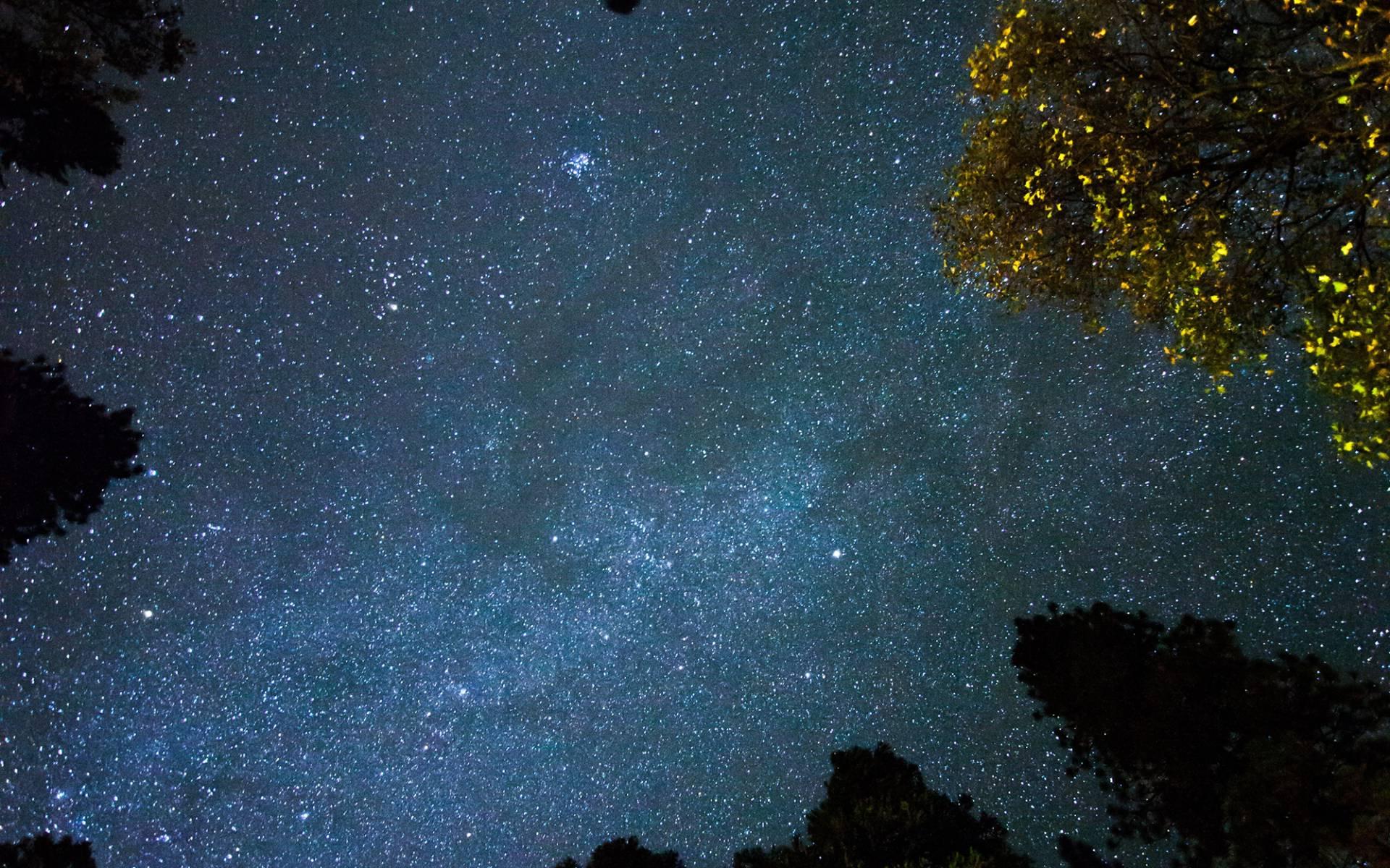 photo of the galaxy as seen from Earth